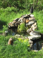 Filename=backyard-pond-marmot.jpg
Filesize=254KB
Dimensions=900x1200
Date added=May 18, 2010 backyard-pond-marmot.jpg