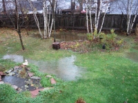 Filename=backyard_flood_mid_noon_sunday.jpg
Filesize=1002KB
Dimensions=965x724
Date added=Nov 07, 2010 backyard_flood_mid_noon_sunday.jpg
