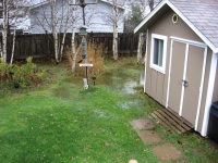 Filename=backyard_flood_shed_noon_sunday.jpg
Filesize=892KB
Dimensions=965x724
Date added=Nov 07, 2010 backyard_flood_shed_noon_sunday.jpg