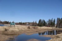 Filename=baie_verte_redwinged_blackbird_trail_goodwin_pond.jpg
Filesize=610KB
Dimensions=1018x686
Date added=Apr 22, 2011 baie_verte_redwinged_blackbird_trail_goodwin_pond.jpg