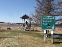Filename=baie_verte_redwinged_blackbird_trail_sign.jpg
Filesize=841KB
Dimensions=956x731
Date added=Apr 22, 2011 baie_verte_redwinged_blackbird_trail_sign.jpg