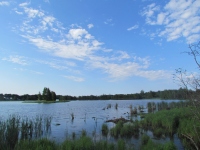 Filename=blue-sky-waterfowl-park.jpg
Filesize=689KB
Dimensions=1600x1200
Date added=Jun 19, 2013 blue-sky-waterfowl-park.jpg