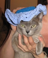 Filename=burmese-wearing-hat~0.jpg
Filesize=196KB
Dimensions=868x1036
Date added=Jan 03, 2011 burmese-wearing-hat~0.jpg