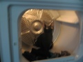 Filename=burmese_jasper_dryer.jpg
Filesize=413KB
Dimensions=900x675
Date added=Oct 19, 2009 burmese_jasper_dryer.jpg