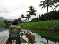 Filename=canoeing-kauai-hanalei-river.jpg
Filesize=139KB
Dimensions=900x675
Date added=Mar 04, 2008 canoeing-kauai-hanalei-river.jpg