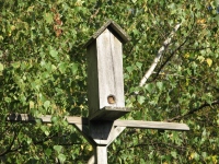 Filename=chipmunk-in-birdhouse.jpg
Filesize=191KB
Dimensions=845x634
Date added=Nov 12, 2010 chipmunk-in-birdhouse.jpg