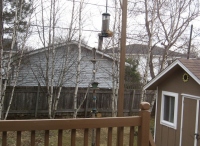 Filename=chippy_small_squirbuster.jpg
Filesize=796KB
Dimensions=977x715
Date added=Apr 11, 2011 chippy_small_squirbuster.jpg