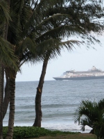 Filename=cruise-ship-palm-trees.jpg
Filesize=166KB
Dimensions=675x900
Date added=Feb 11, 2008 cruise-ship-palm-trees.jpg