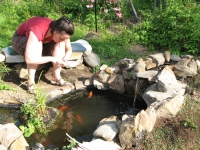 Filename=dd_feeding_goldfish.jpg
Filesize=631KB
Dimensions=900x675
Date added=Feb 17, 2010 dd_feeding_goldfish.jpg