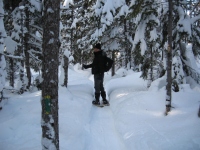 Filename=dobson_trail_sandhill_dami_snowshoeing.jpg
Filesize=712KB
Dimensions=965x724
Date added=Feb 07, 2011 dobson_trail_sandhill_dami_snowshoeing.jpg