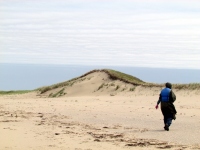 Filename=dunes2.jpg
Filesize=491KB
Dimensions=1200x900
Date added=Jun 19, 2013 dunes2.jpg
