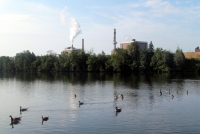 Filename=edmunstonofactory-geese.jpg
Filesize=526KB
Dimensions=1800x1210
Date added=Jul 28, 2013 edmunstonofactory-geese.jpg