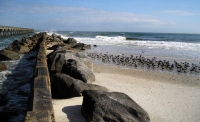Filename=fernandina-beach-breakwater.jpg
Filesize=157KB
Dimensions=900x551
Date added=Feb 17, 2008 fernandina-beach-breakwater.jpg
