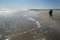 Filename=fernandino-beach.jpg
Filesize=129KB
Dimensions=900x600
Date added=Feb 12, 2008 fernandino-beach.jpg