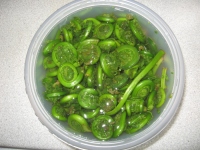 Filename=fiddleheads.jpg
Filesize=641KB
Dimensions=900x675
Date added=May 21, 2010 fiddleheads.jpg