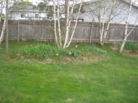 Filename=flowerbed1_after_cleanup.jpg
Filesize=774KB
Dimensions=900x675
Date added=May 05, 2010 flowerbed1_after_cleanup.jpg