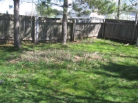 Filename=flowerbed2_before_cleanup.jpg
Filesize=847KB
Dimensions=900x675
Date added=May 05, 2010 flowerbed2_before_cleanup.jpg