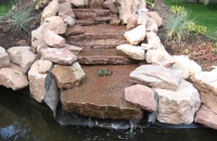 Filename=frog_on_cascade2.jpg
Filesize=629KB
Dimensions=899x586
Date added=Jun 10, 2010 frog_on_cascade2.jpg