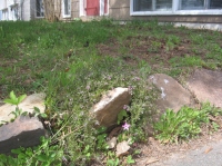 Filename=front_rock_flowers.jpg
Filesize=813KB
Dimensions=900x674
Date added=Apr 25, 2010 front_rock_flowers.jpg