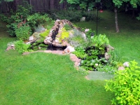 Filename=garden-july-2013.jpg
Filesize=924KB
Dimensions=1500x1125
Date added=Jul 30, 2013 garden-july-2013.jpg