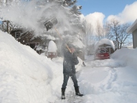 Filename=groundhog_day_storm_dami_shovel.jpg
Filesize=611KB
Dimensions=965x724
Date added=Feb 03, 2011 groundhog_day_storm_dami_shovel.jpg