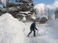 Filename=groundhog_day_storm_dami_shovel2.jpg
Filesize=677KB
Dimensions=965x724
Date added=Feb 03, 2011 groundhog_day_storm_dami_shovel2.jpg