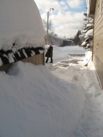 Filename=groundhog_day_storm_dd_driveway.jpg
Filesize=435KB
Dimensions=724x965
Date added=Feb 03, 2011 groundhog_day_storm_dd_driveway.jpg