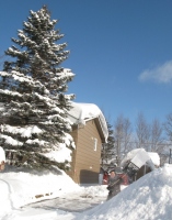 Filename=groundhog_day_storm_dd_shovel.jpg
Filesize=570KB
Dimensions=741x942
Date added=Feb 03, 2011 groundhog_day_storm_dd_shovel.jpg