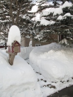 Filename=groundhog_day_storm_mailbox.jpg
Filesize=567KB
Dimensions=724x965
Date added=Feb 03, 2011 groundhog_day_storm_mailbox.jpg