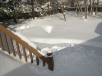 Filename=groundhog_day_storm_pond.jpg
Filesize=622KB
Dimensions=965x724
Date added=Feb 03, 2011 groundhog_day_storm_pond.jpg