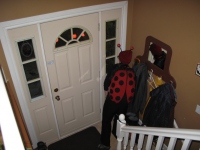Filename=halloween_2010_dd_ladybug.jpg
Filesize=611KB
Dimensions=965x724
Date added=Nov 05, 2010 halloween_2010_dd_ladybug.jpg