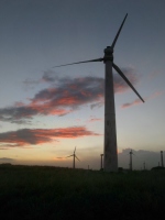 Filename=hawaii-windmills-south-point.jpg
Filesize=43KB
Dimensions=525x700
Date added=Feb 20, 2008 hawaii-windmills-south-point.jpg