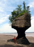 Filename=hopewell-rocks-flower-pot.jpg
Filesize=769KB
Dimensions=900x1222
Date added=Jul 06, 2010 hopewell-rocks-flower-pot.jpg