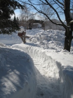 Filename=january_snow_walkway.jpg
Filesize=720KB
Dimensions=724x965
Date added=Jan 28, 2011 january_snow_walkway.jpg