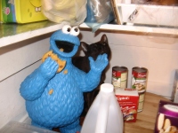 Filename=jasper_cookie_monster_big.jpg
Filesize=542KB
Dimensions=900x675
Date added=Apr 15, 2010 jasper_cookie_monster_big.jpg