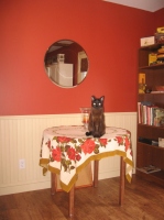 Filename=jasper_dining_table.jpg
Filesize=506KB
Dimensions=650x867
Date added=Apr 20, 2010 jasper_dining_table.jpg