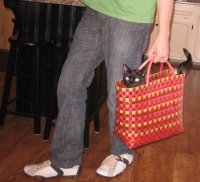 Filename=jasper_in_the_basket.jpg
Filesize=686KB
Dimensions=874x798
Date added=Jan 03, 2011 jasper_in_the_basket.jpg