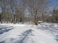 Filename=kejimkujik_winter_mersey_river_bike_trail_snowshoe_footprints.jpg
Filesize=742KB
Dimensions=965x724
Date added=Mar 23, 2011 kejimkujik_winter_mersey_river_bike_trail_snowshoe_footprints.jpg