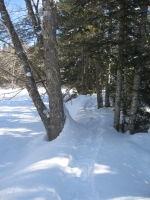 Filename=kejimkujik_winter_mersey_river_bike_trail_snowshoe_trail.jpg
Filesize=693KB
Dimensions=724x965
Date added=Mar 23, 2011 kejimkujik_winter_mersey_river_bike_trail_snowshoe_trail.jpg