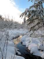 Filename=new-brunswick-winter-dobson-trail.jpg
Filesize=518KB
Dimensions=1200x1600
Date added=Jan 03, 2011 new-brunswick-winter-dobson-trail.jpg