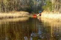 Filename=ocean-pond-shoreline-camping.jpg
Filesize=234KB
Dimensions=900x600
Date added=Mar 09, 2008 ocean-pond-shoreline-camping.jpg