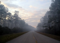 Filename=osceola-state-park-fire-smoke.jpg
Filesize=104KB
Dimensions=900x647
Date added=Feb 22, 2008 osceola-state-park-fire-smoke.jpg