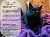 Filename=pauline-our-dear-cat-memorial.jpg
Filesize=72KB
Dimensions=900x675
Date added=May 20, 2010 pauline-our-dear-cat-memorial.jpg