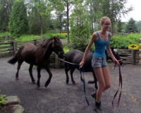 Filename=pony-walk88.jpg
Filesize=367KB
Dimensions=1400x1124
Date added=Jul 28, 2013 pony-walk88.jpg