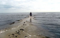 Filename=sand-bar-gulf-coast-beach~0.jpg
Filesize=110KB
Dimensions=900x584
Date added=Feb 17, 2008 sand-bar-gulf-coast-beach~0.jpg