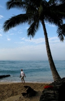 Filename=solitude-beach-hawaii-castaway.jpg
Filesize=77KB
Dimensions=437x675
Date added=Feb 12, 2008 solitude-beach-hawaii-castaway.jpg
