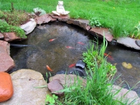 Filename=spring-pond.jpg
Filesize=803KB
Dimensions=1200x900
Date added=Jul 14, 2013 spring-pond.jpg