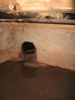 Filename=sump_pit_filling.jpg
Filesize=437KB
Dimensions=724x965
Date added=Nov 08, 2010 sump_pit_filling.jpg