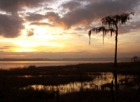 Filename=sunset-ocean-pond-florida.jpg
Filesize=114KB
Dimensions=900x656
Date added=Feb 12, 2008 sunset-ocean-pond-florida.jpg