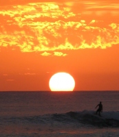 Filename=sunset-surfer-waikiki.jpg
Filesize=65KB
Dimensions=585x675
Date added=Feb 11, 2008 sunset-surfer-waikiki.jpg